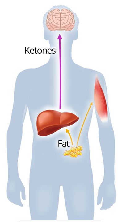 Ketosis með NexaSlim
